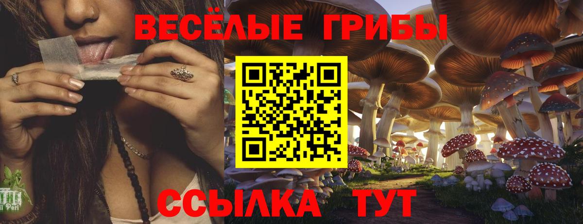 Галлюциногенные грибы прущие грибы  где продают наркотики  Сергиев Посад  Вход с VPN 