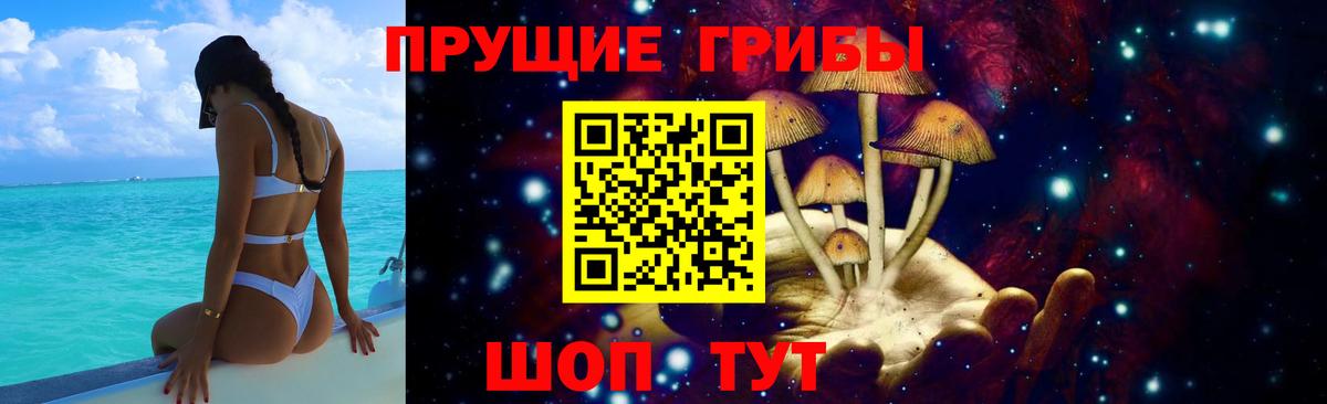 Галлюциногенные грибы Cubensis Сергиев Посад